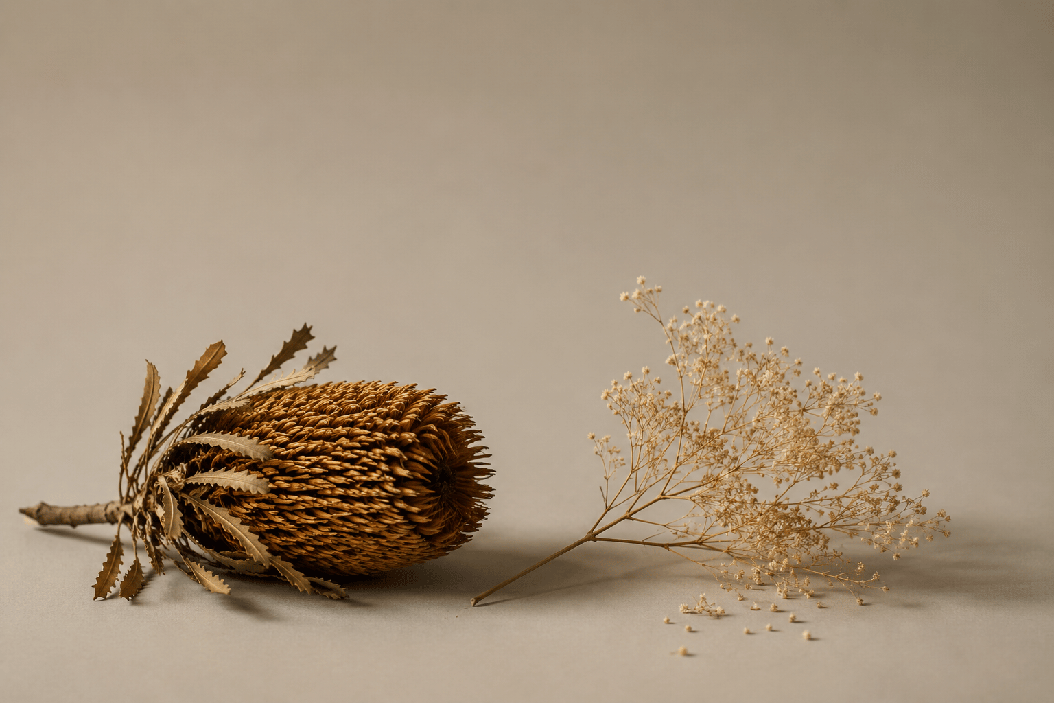 A woody dried banksia beside a wispy dried filler shedding florets, showing which dried Australian native flowers last." Descriptive for screen readers, and it carries your keyword honestly.