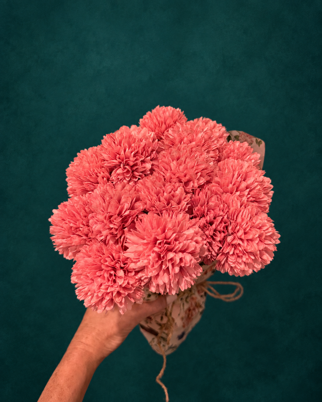 A hand holding a bouquet of vibrant pink chrysanthemums against a dark teal textured background.