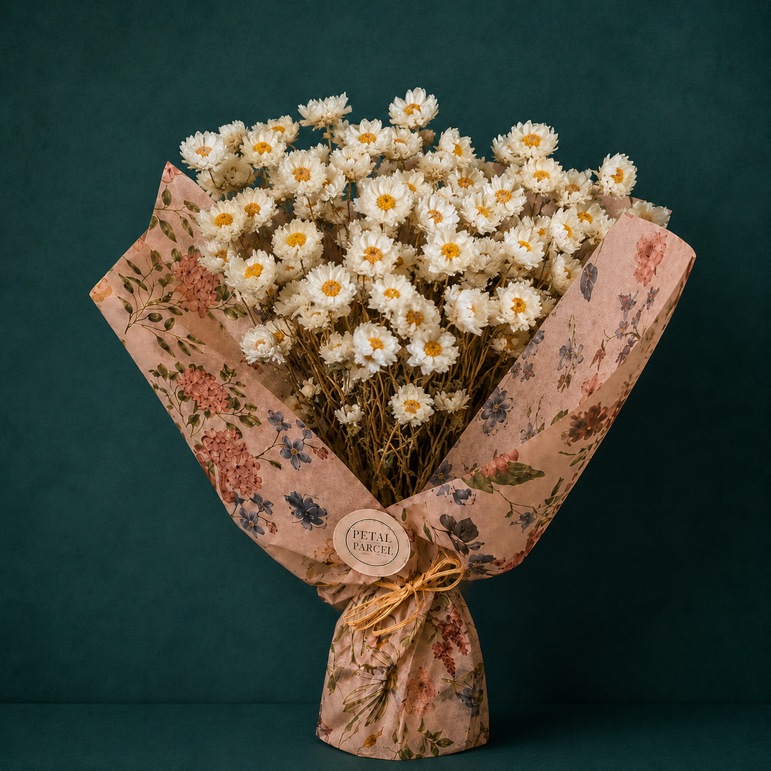 Dried White Daisy Bunch