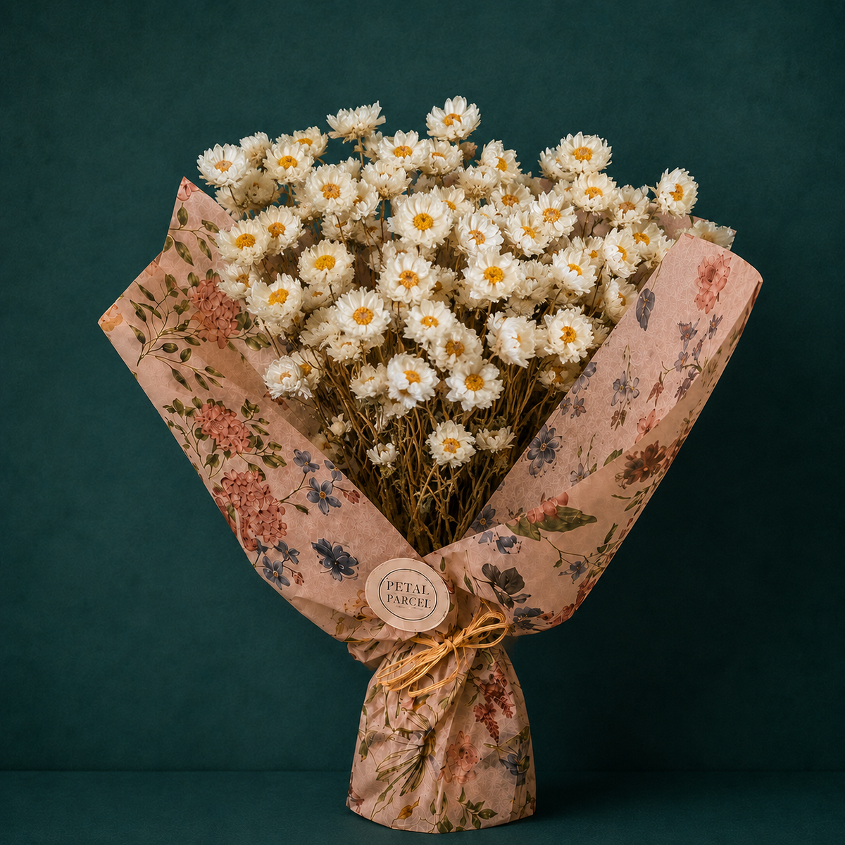 Dried White Daisy Bunch